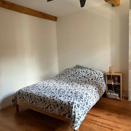 Maison Chaleureuse * Rabastens